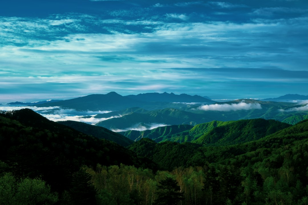自然 旅行 山