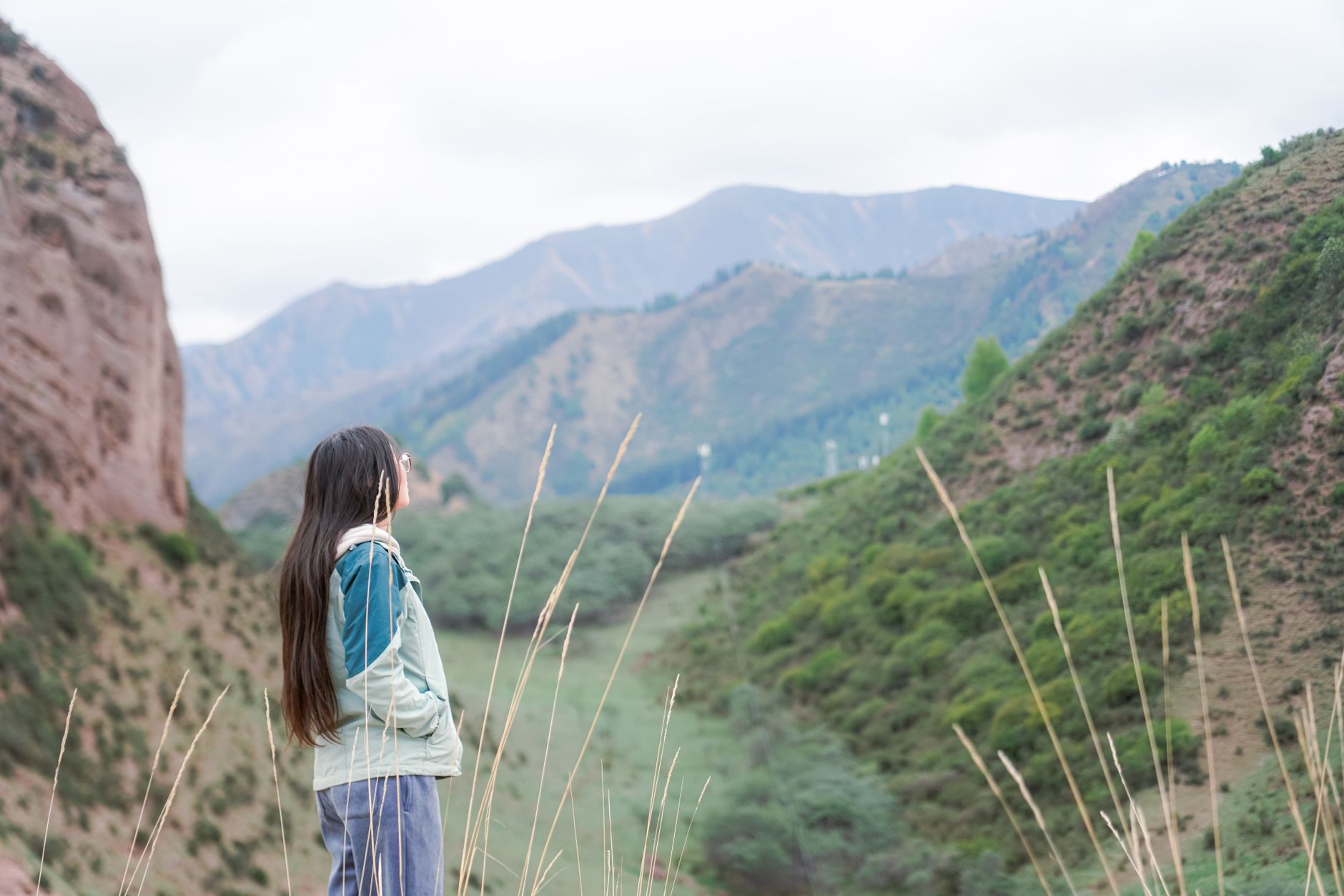 自然 旅行 山