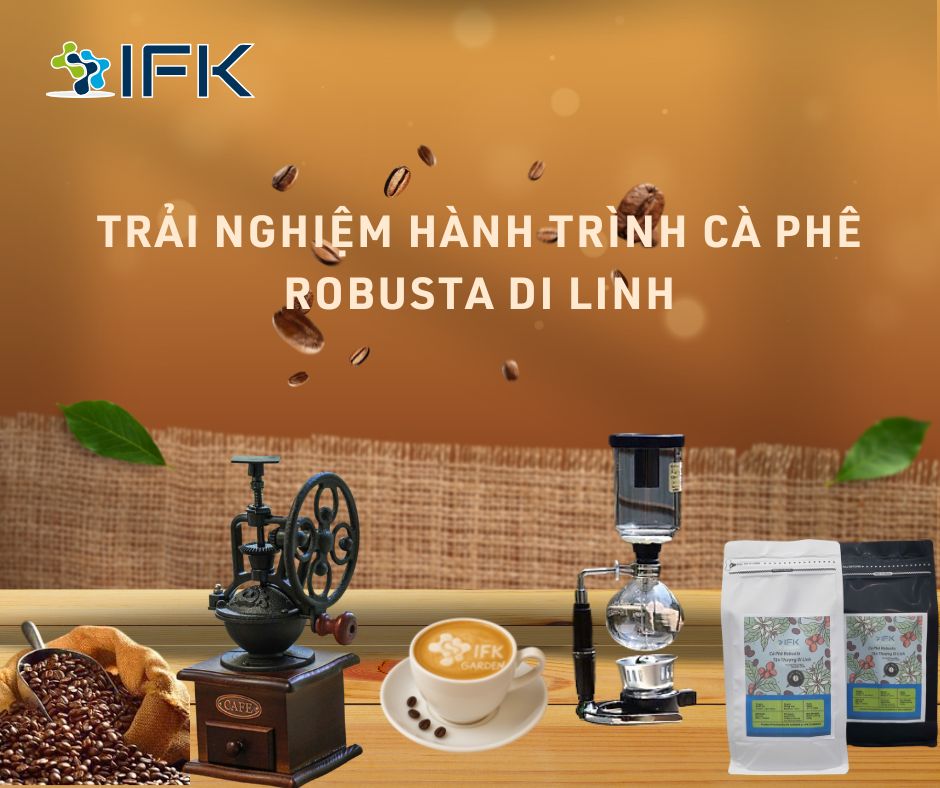 IFK GARDEN – Trải nghiệm hành trình cà phê Robusta Di Linh