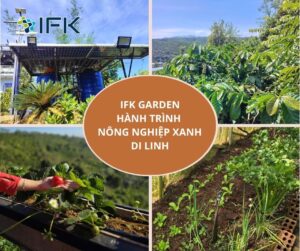 IFK Garden – Hanh trinh nong nghiep xanh Di Linh