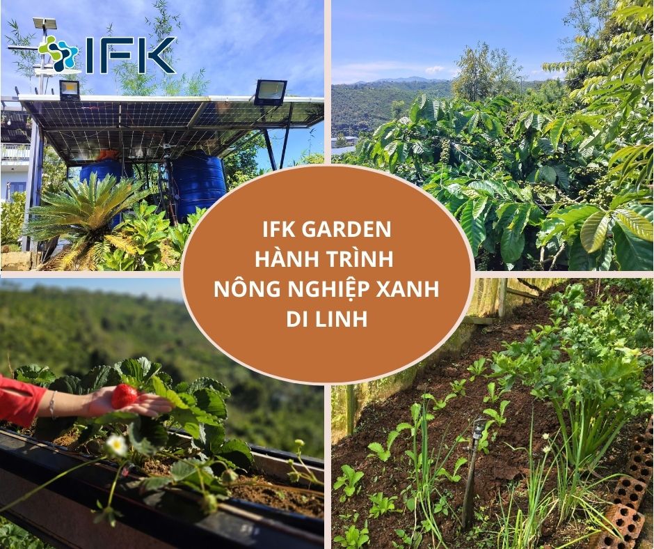 IFK GARDEN – Hành Trình Nông Nghiệp Xanh Di Linh