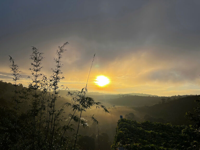 z6900438268181_75665dbd6c68c003c19efc3d984d0843