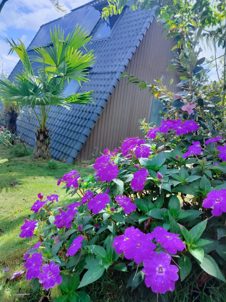 Không gian và cảnh quan tại IFK GARDEN