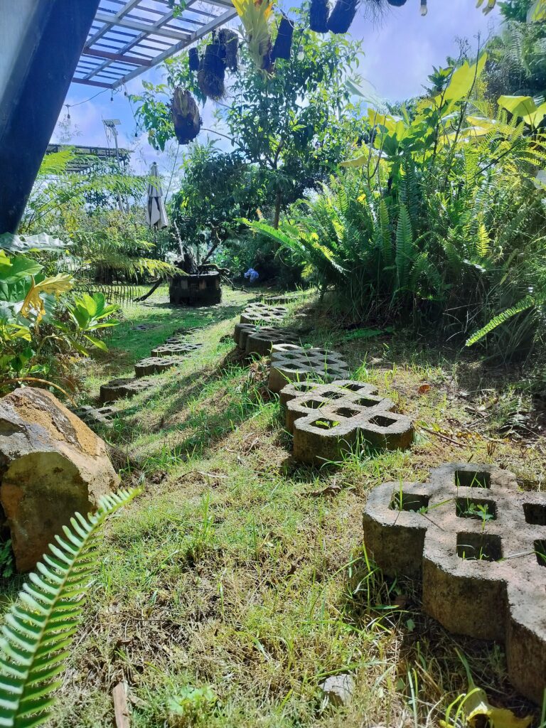 Tổng hợp ảnh IFK Garden