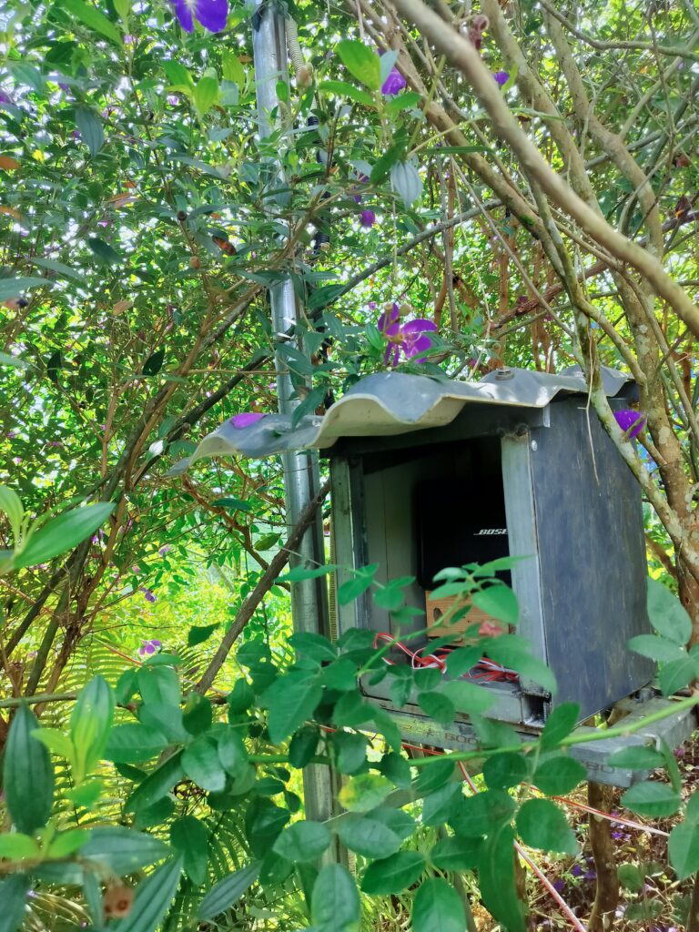 Tổng hợp ảnh IFK Garden