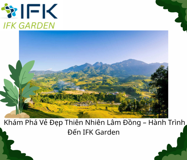 Khám Phá Vẻ Đẹp Thiên Nhiên Lâm Đồng – Hành Trình Đến IFK Garden