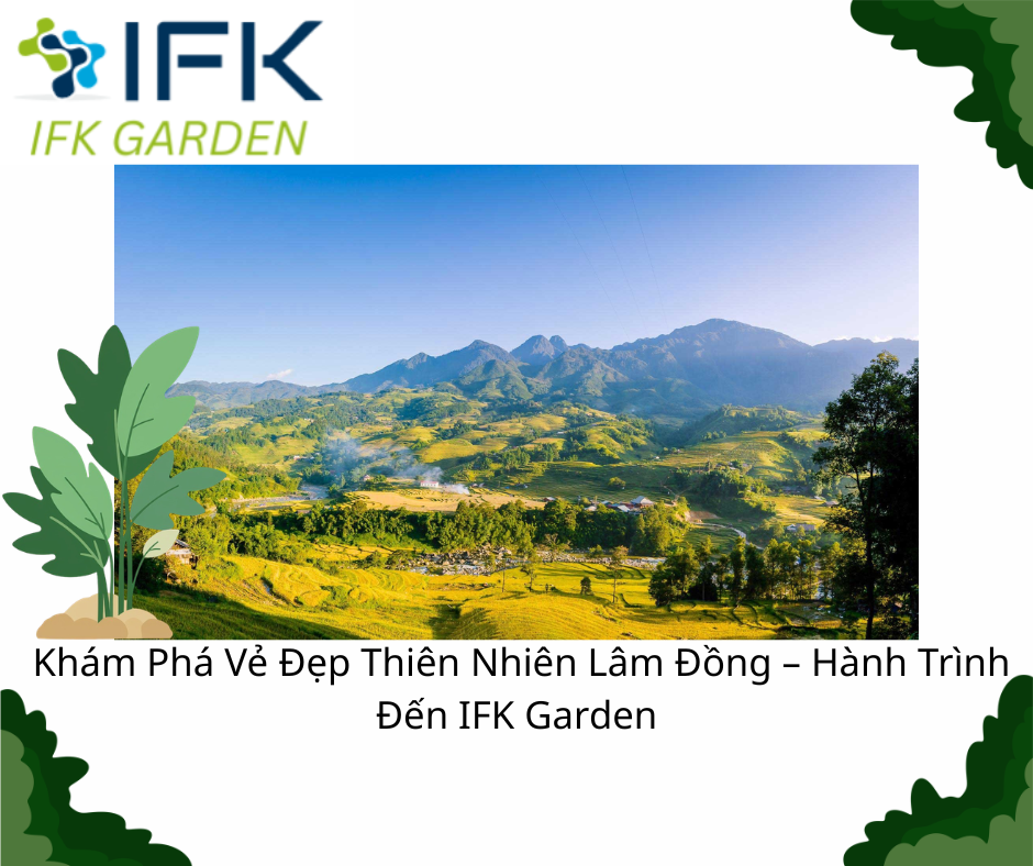 Khám Phá Vẻ Đẹp Thiên Nhiên Lâm Đồng – Hành Trình Đến IFK Garden