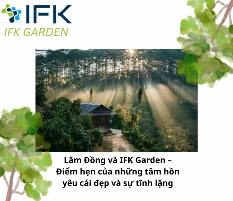 Lâm Đồng và IFK Garden – Điểm hẹn của những tâm hồn yêu cái đẹp và sự tĩnh lặng