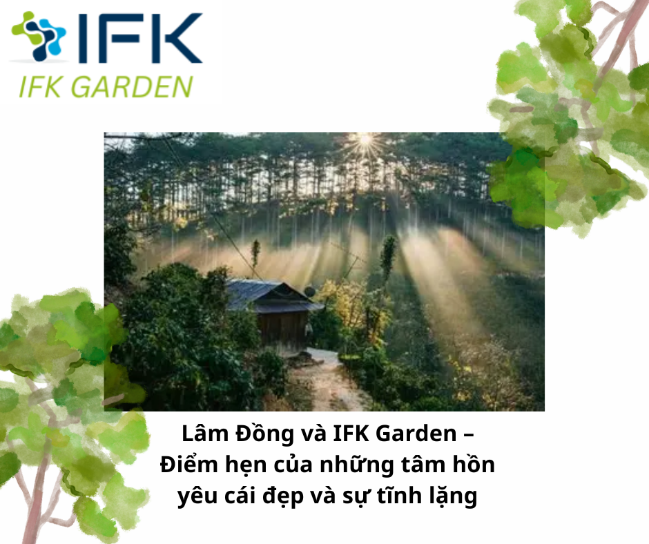 Lâm Đồng và IFK Garden – Điểm hẹn của những tâm hồn yêu cái đẹp và sự tĩnh lặng