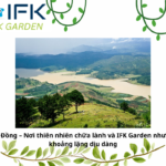 Lâm Đồng – Nơi thiên nhiên chữa lành và IFK Garden như một khoảng lặng dịu dàng