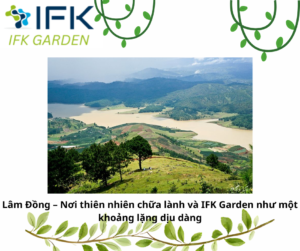 Lâm Đồng – Nơi thiên nhiên chữa lành và IFK Garden như một khoảng lặng dịu dàng