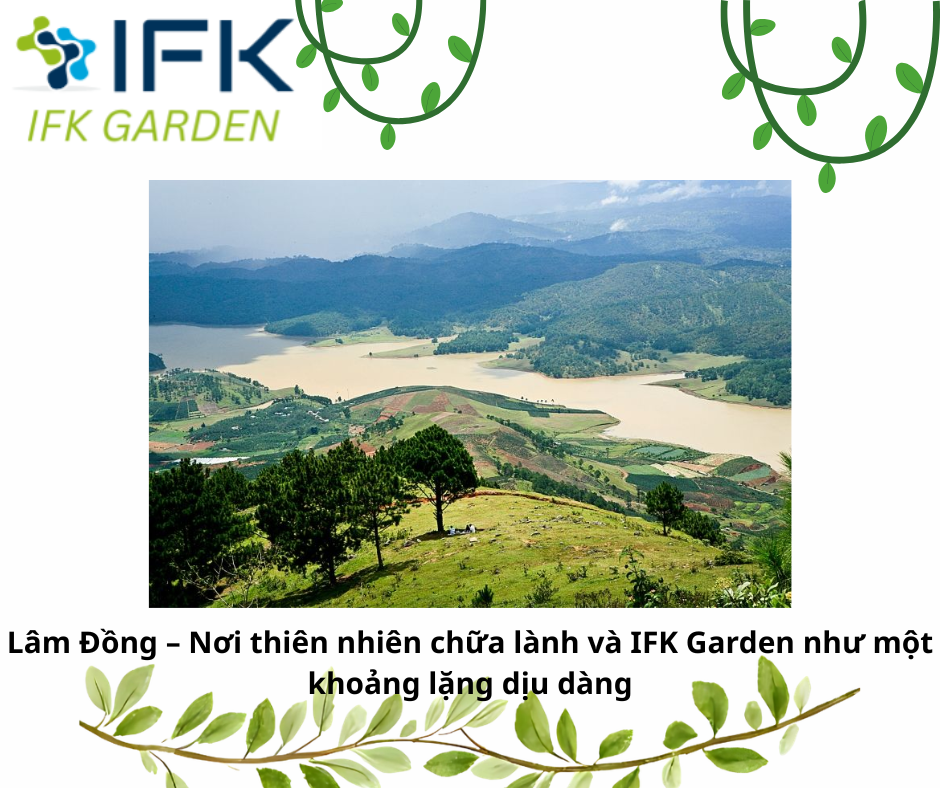 Lâm Đồng – Nơi thiên nhiên chữa lành và IFK Garden như một khoảng lặng dịu dàng