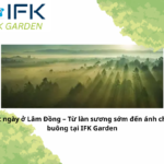 Một ngày ở Lâm Đồng – Từ làn sương sớm đến ánh chiều buông tại IFK Garden