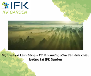 Một ngày ở Lâm Đồng – Từ làn sương sớm đến ánh chiều buông tại IFK Garden