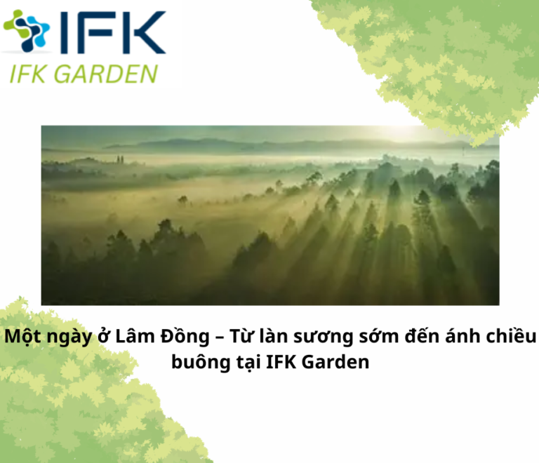 Một ngày ở Lâm Đồng – Từ làn sương sớm đến ánh chiều buông tại IFK Garden